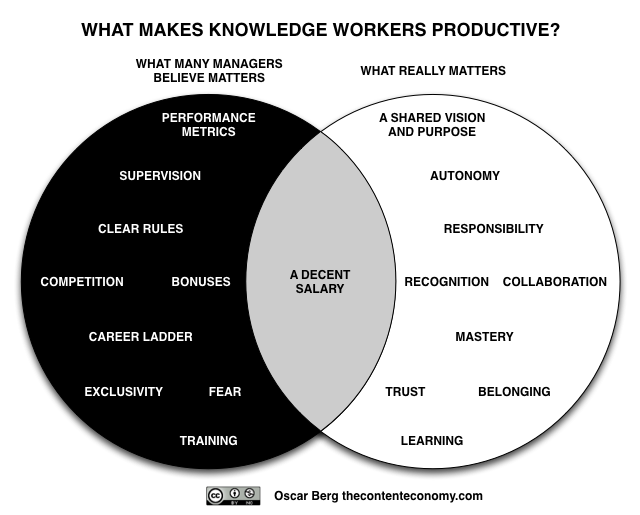 What makes knowledge workers productive